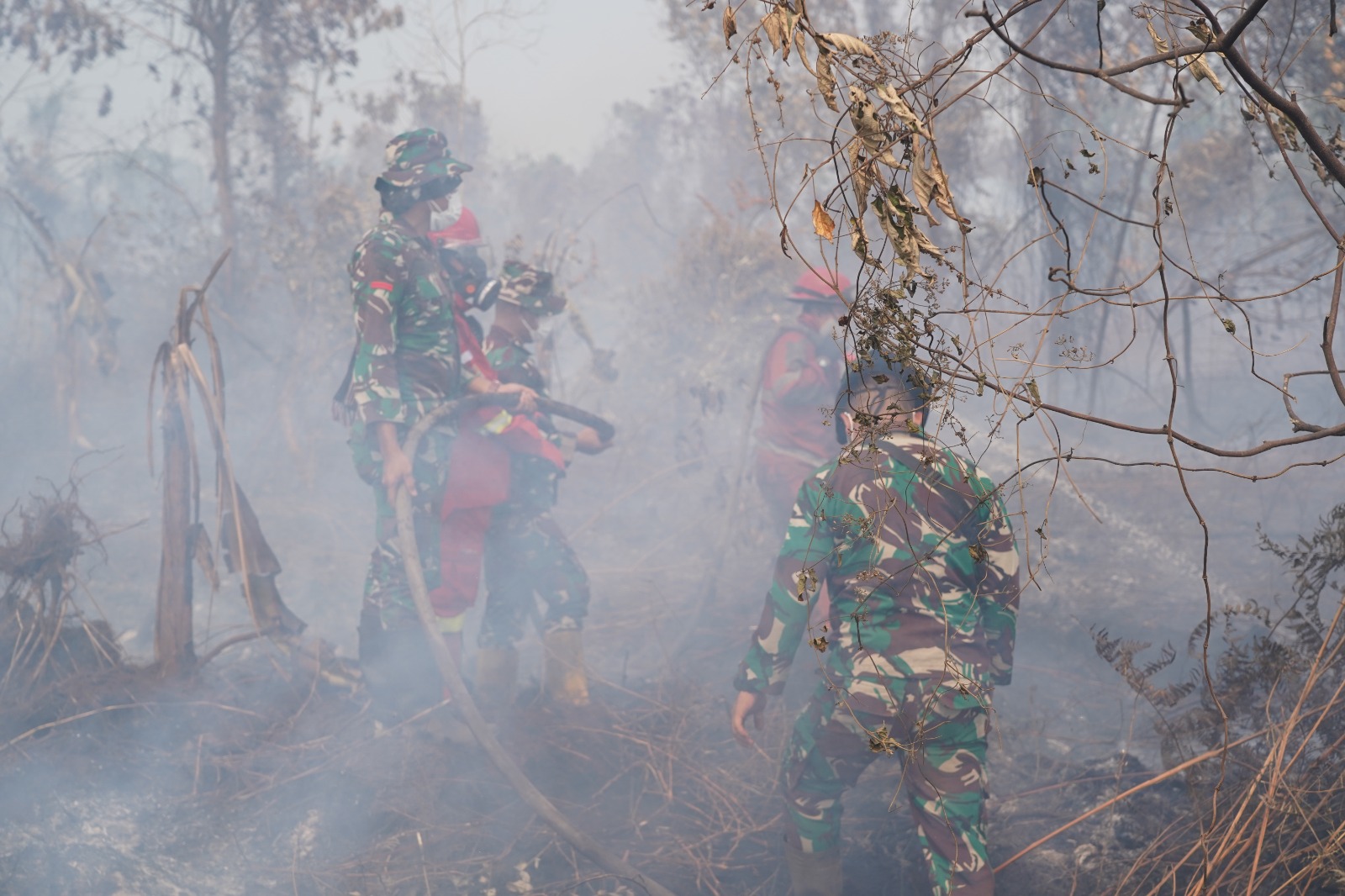 Sinergi TNI, Polri dan Manggala Agni Terus Padamkan Karhutla Riau